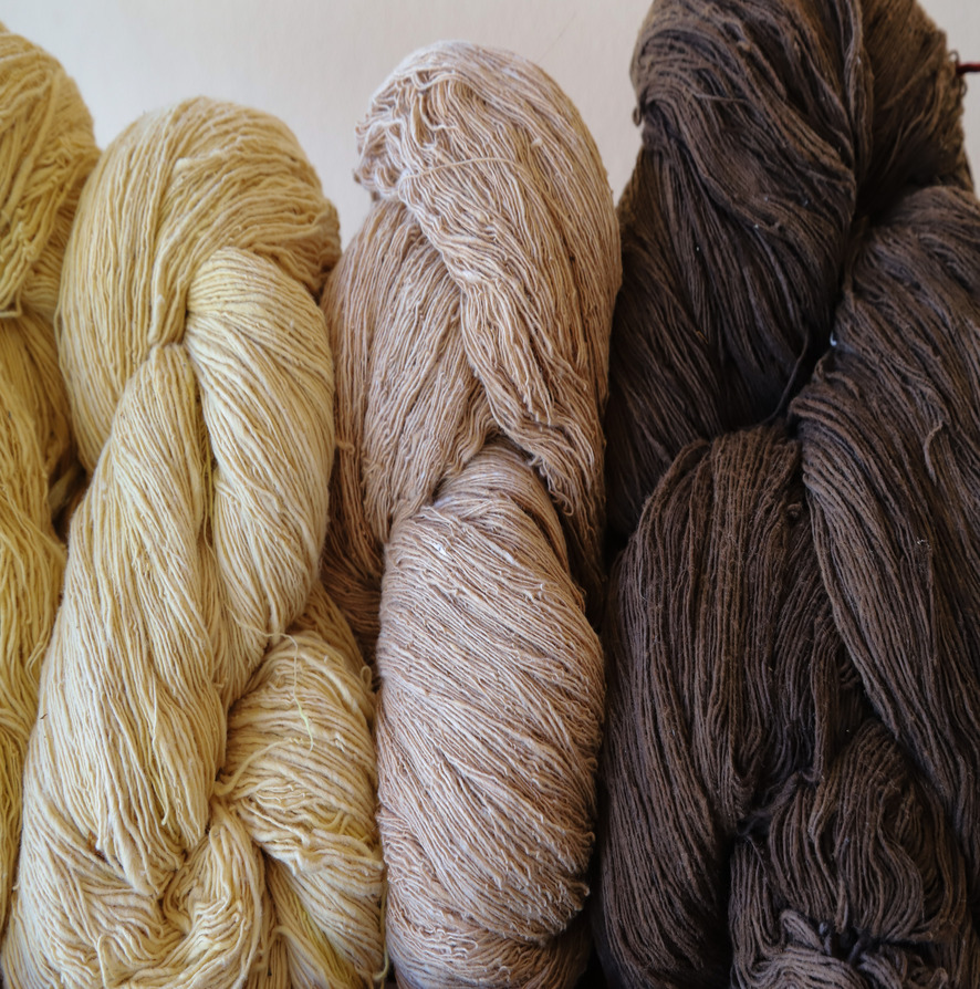 Cotton Yarn